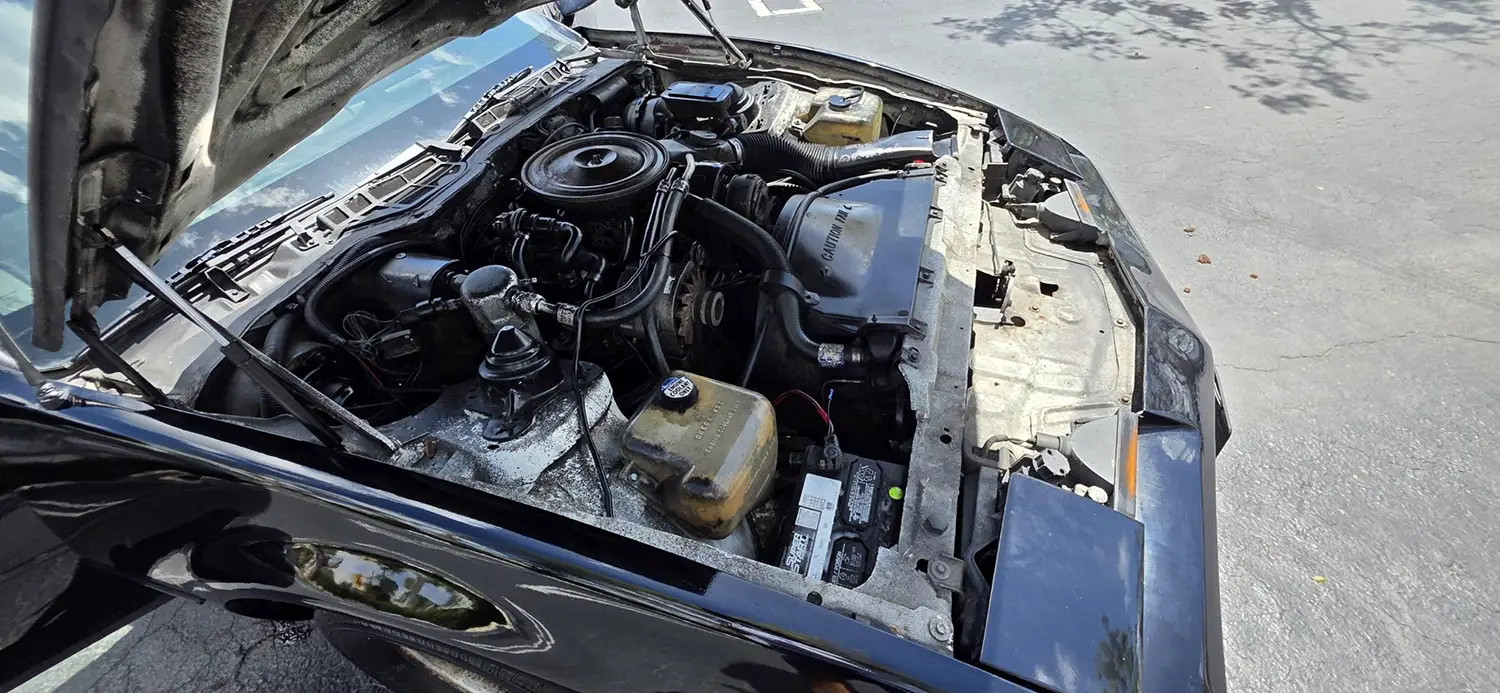 1982 Pontiac Firebird Project