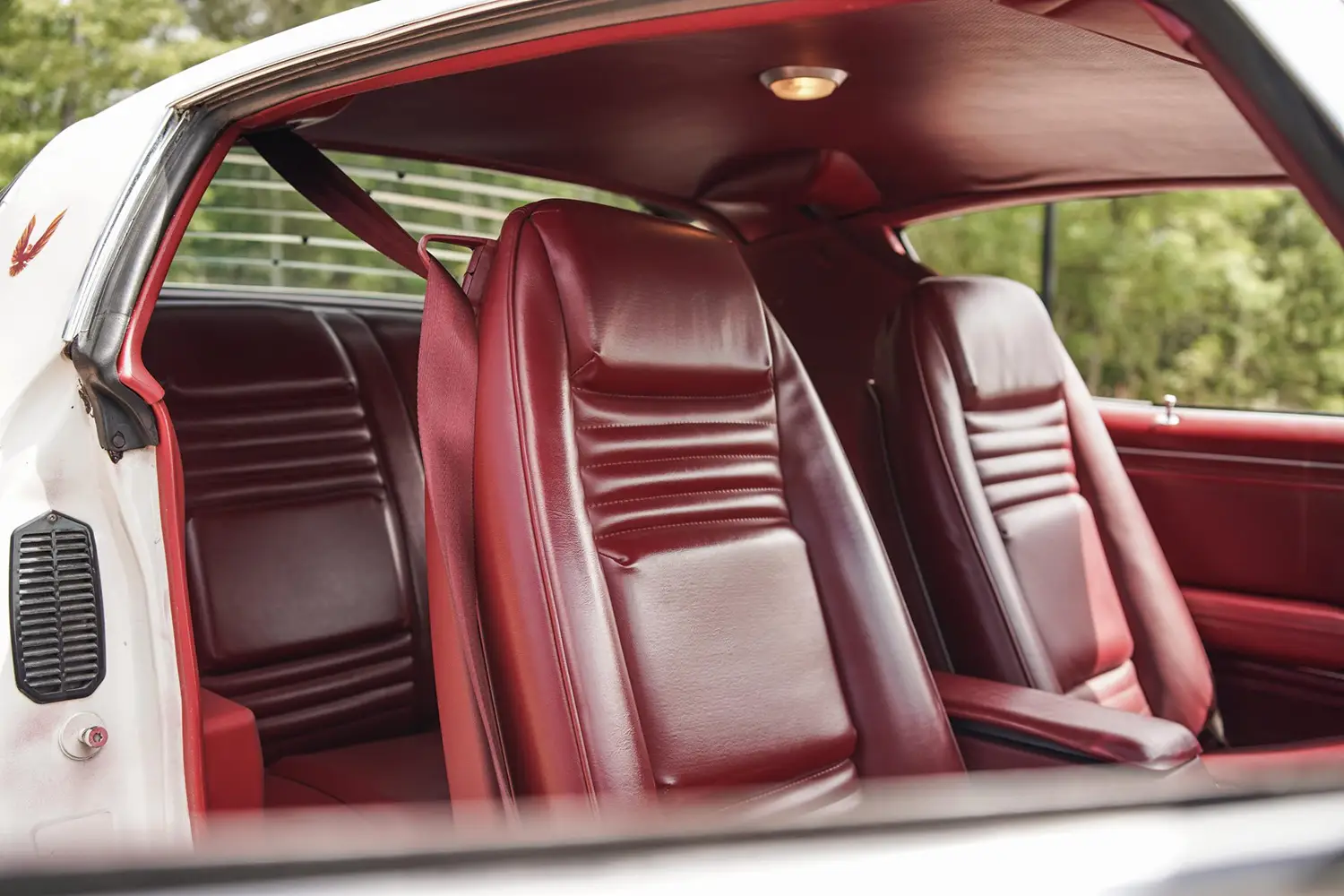 1979 Pontiac Firebird Trans Am