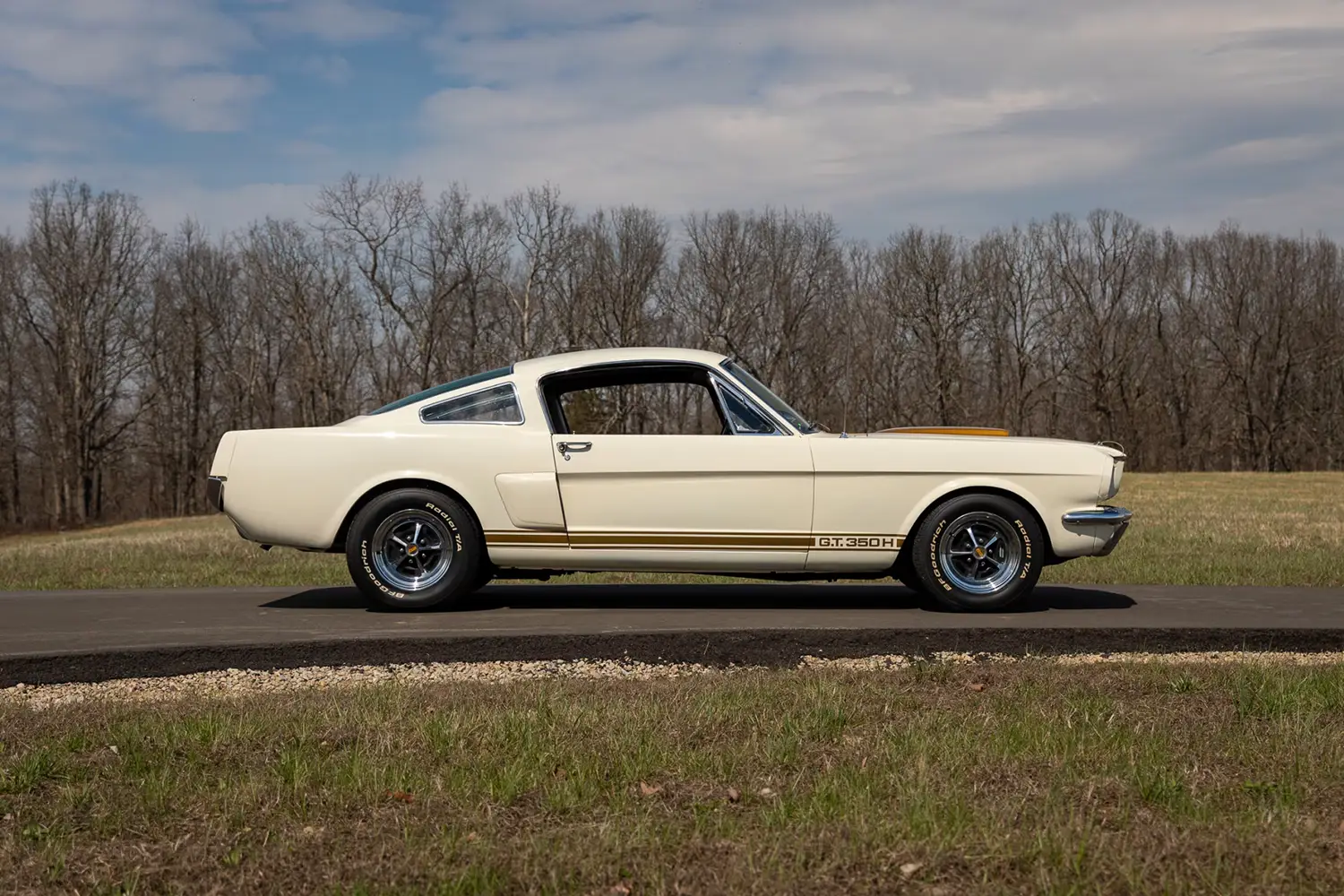 1966 Shelby GT350H Fastback - Photo 2