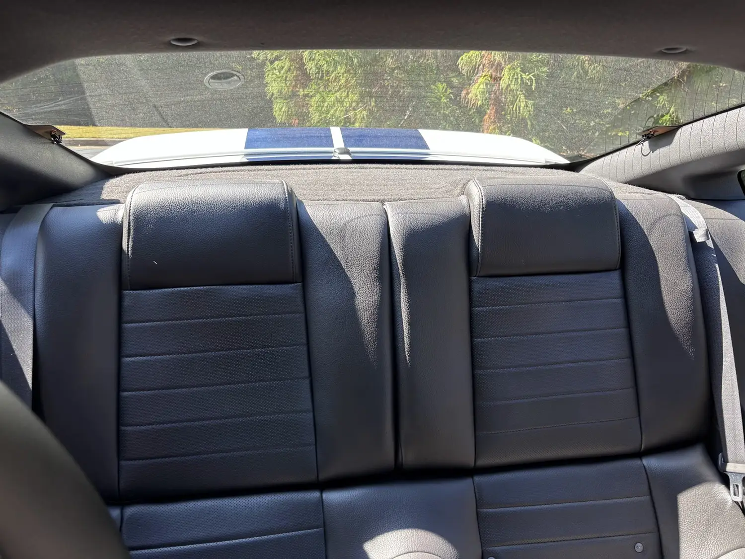 2009 Ford Mustang Shelby GT500