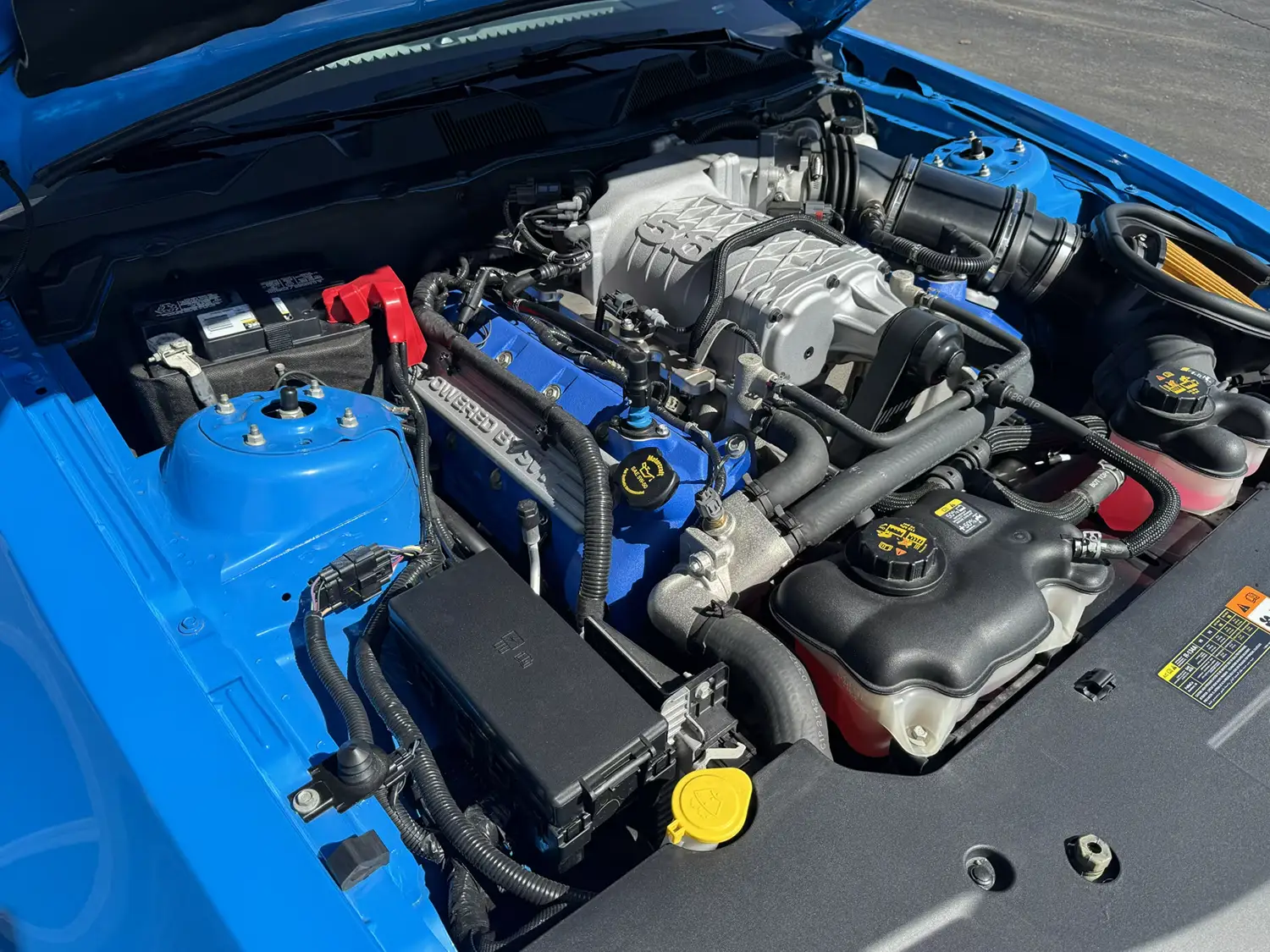 2013 Ford Shelby GT500