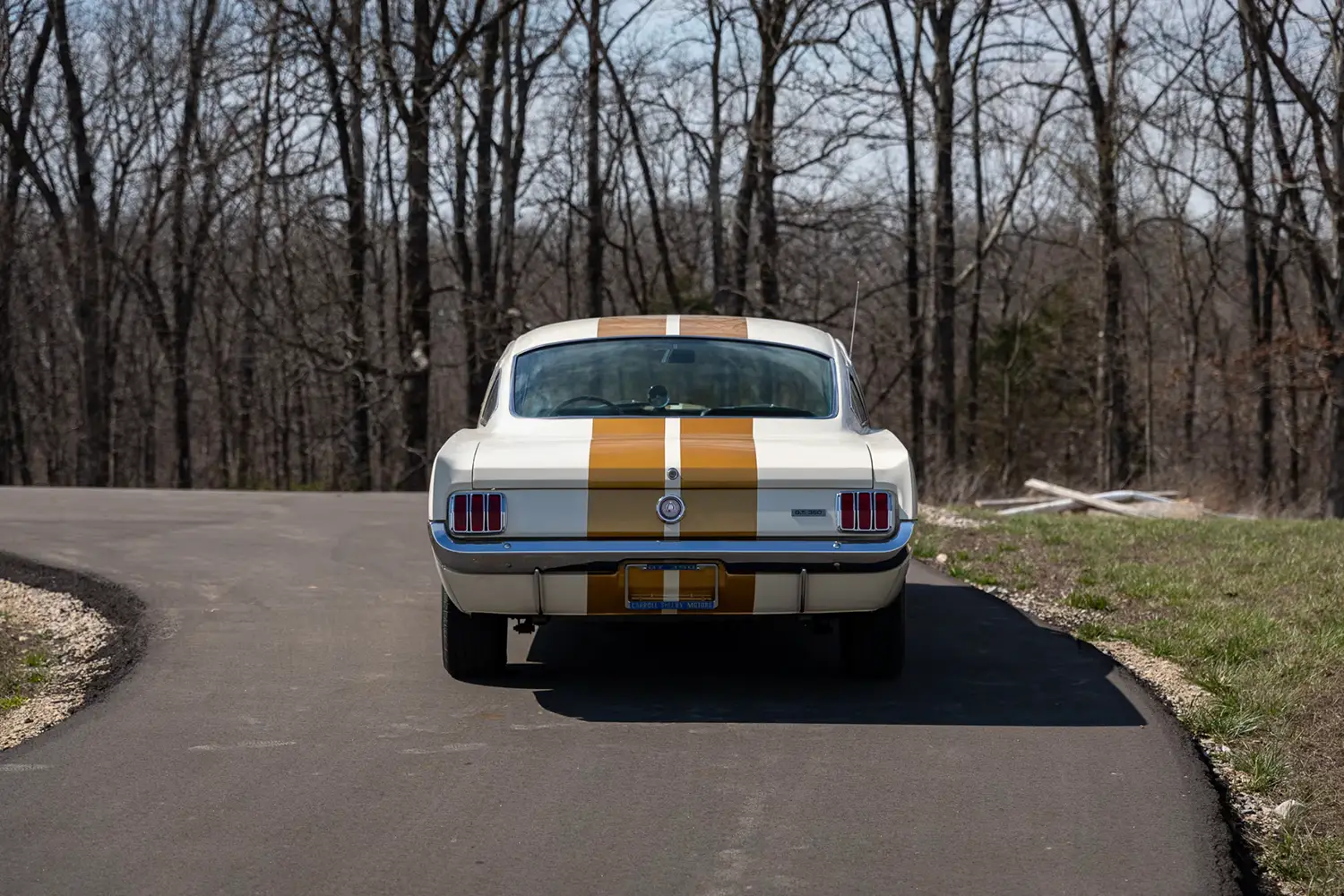 1966 Shelby GT350H Fastback - Photo 10