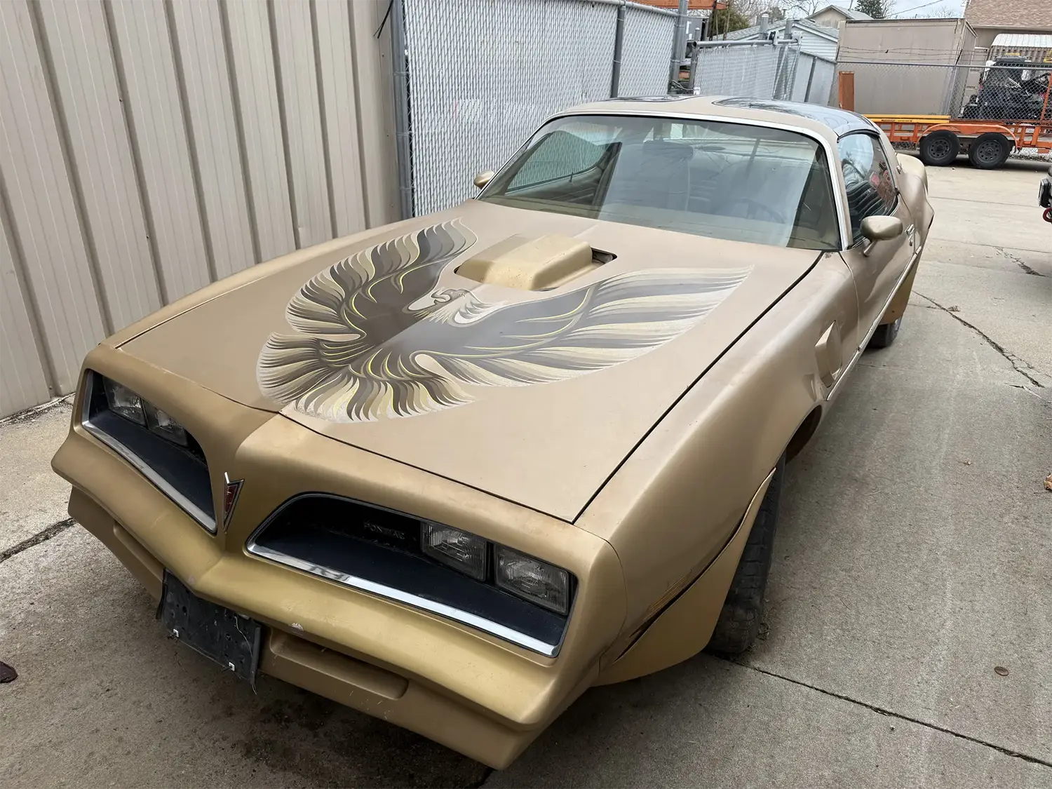 1978 Pontiac Firebird Trans Am - Photo 9