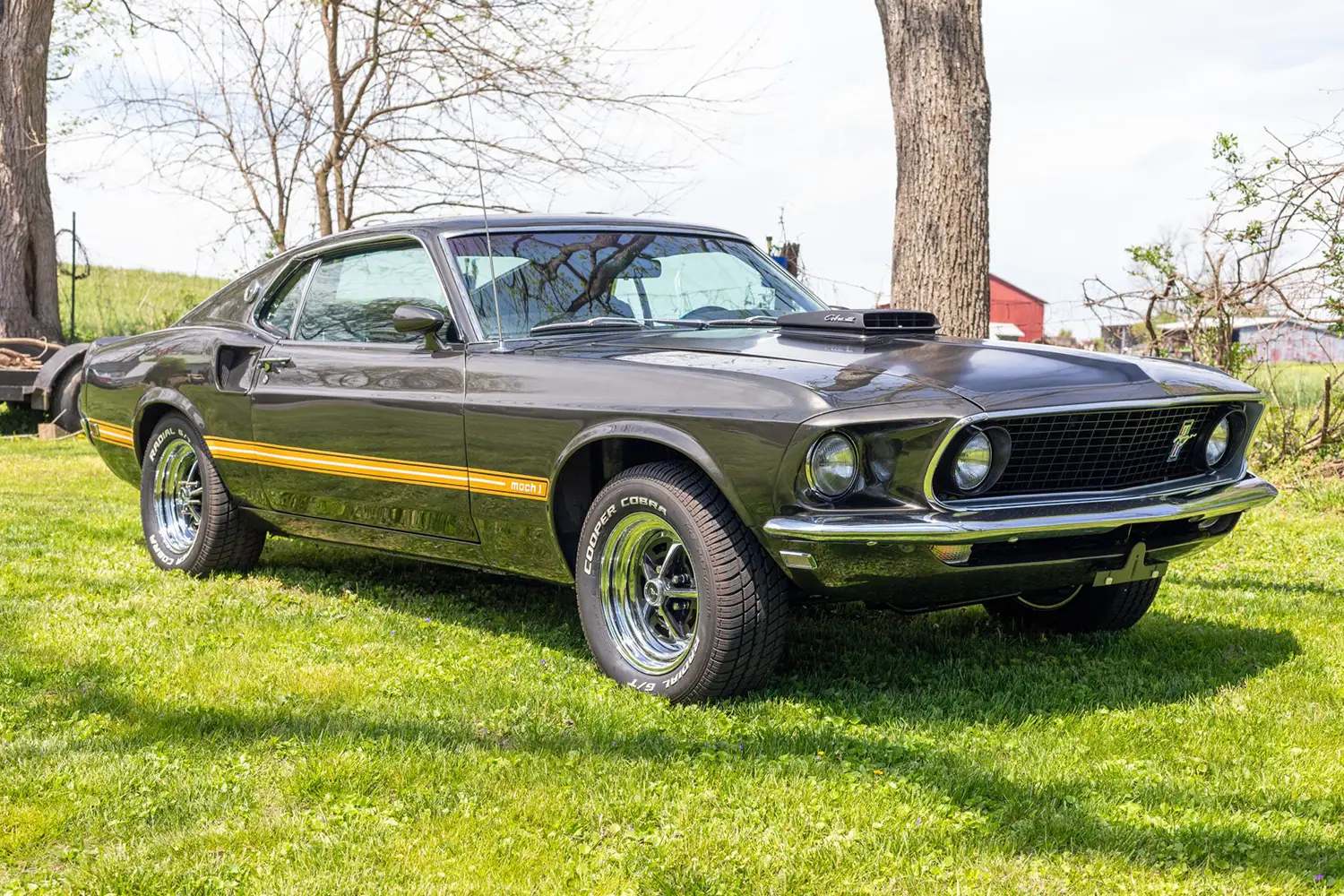 1969 Ford Mustang Mach 1 - Photo 10