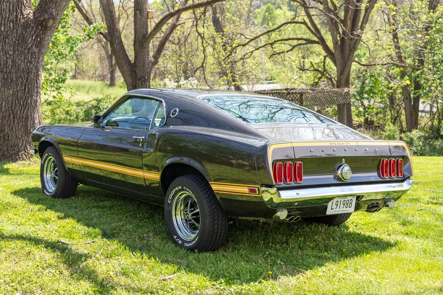 1969 Ford Mustang Mach 1 - Photo 11