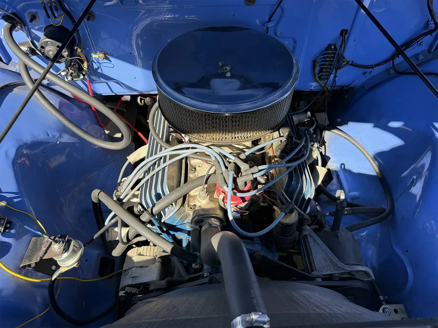 1955 Ford F-100 Panel Van - Photo 5