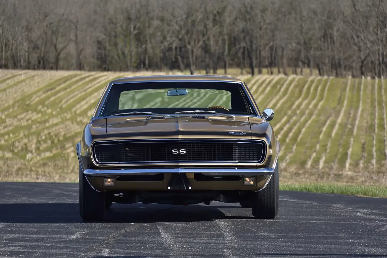 1967 Chevrolet Camaro RS/SS