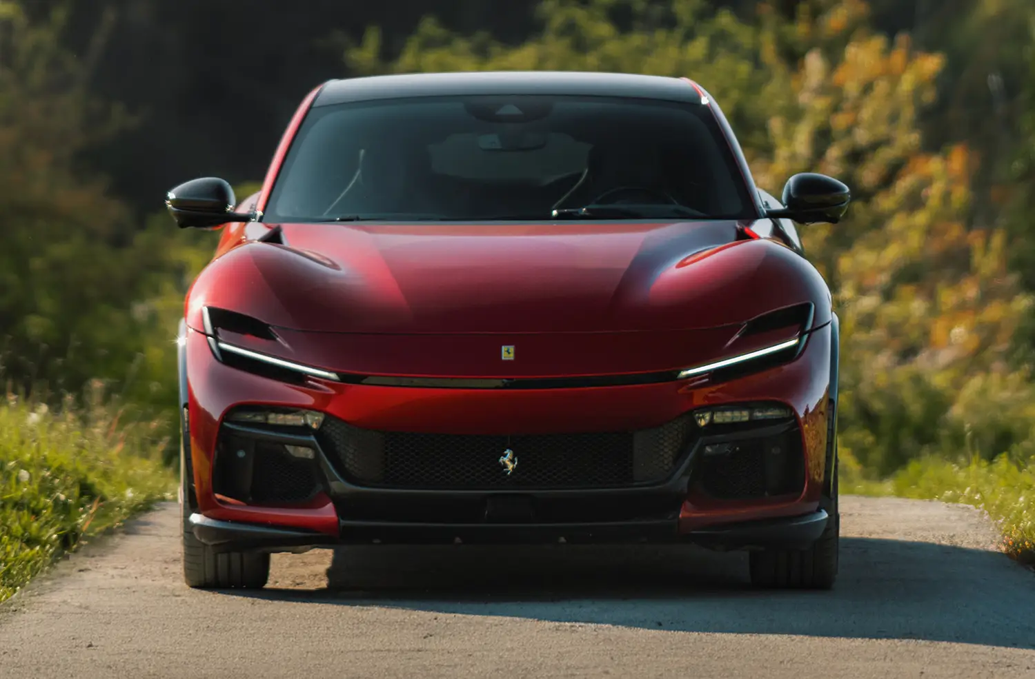 Ferrari Purosangue in Handling Speciale configuration - Photo 14