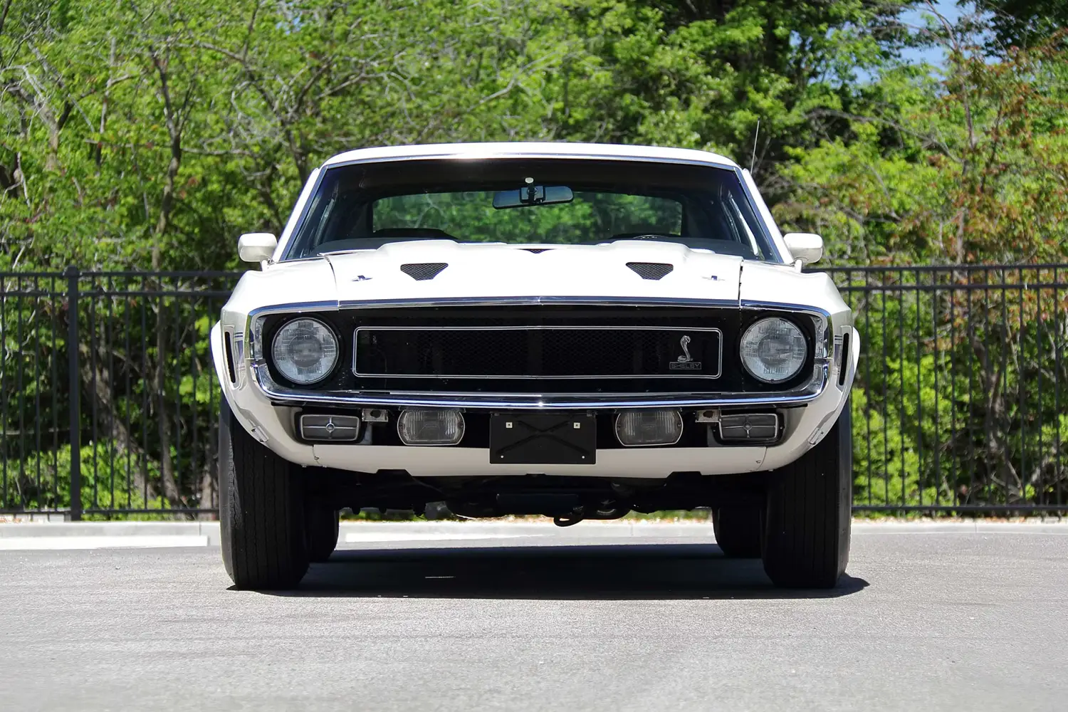 1969 Ford Shelby GT350 Fastback - Photo 2