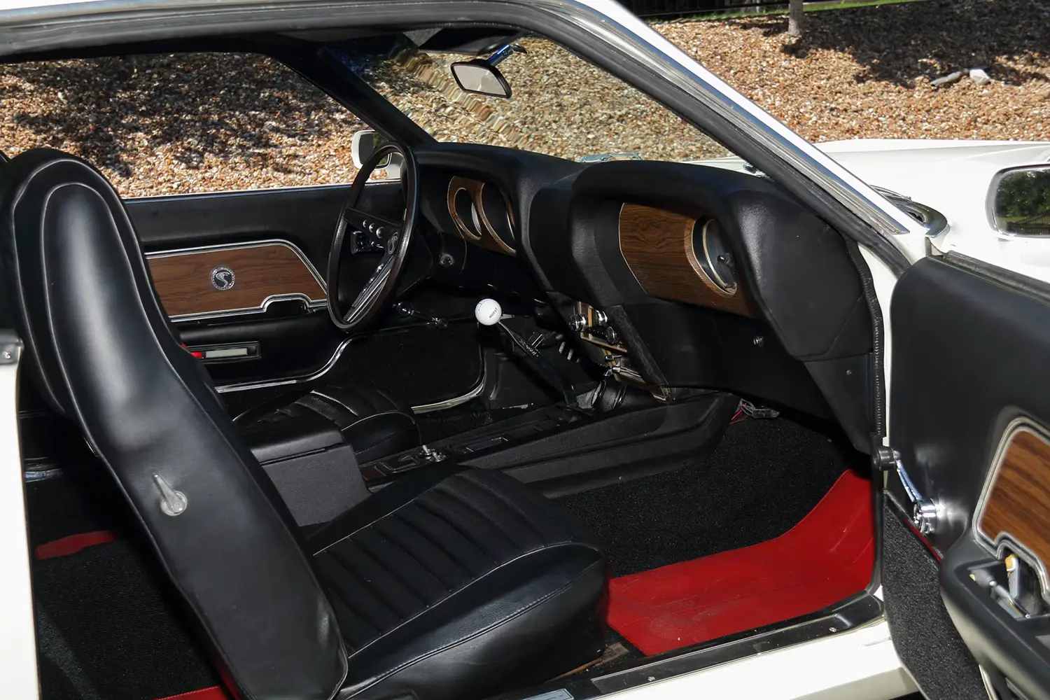 1969 Ford Shelby GT350 Fastback - Photo 13