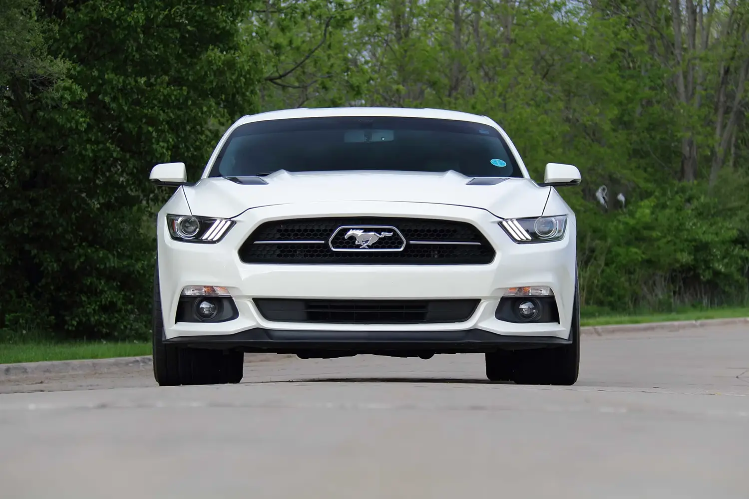 2015 Ford Mustang GT Hennessey HPE800 - Photo 6