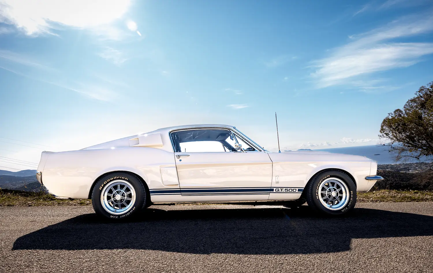 1967 Shelby Mustang GT500 1967 Shelby Mustang GT500 - Photo 2