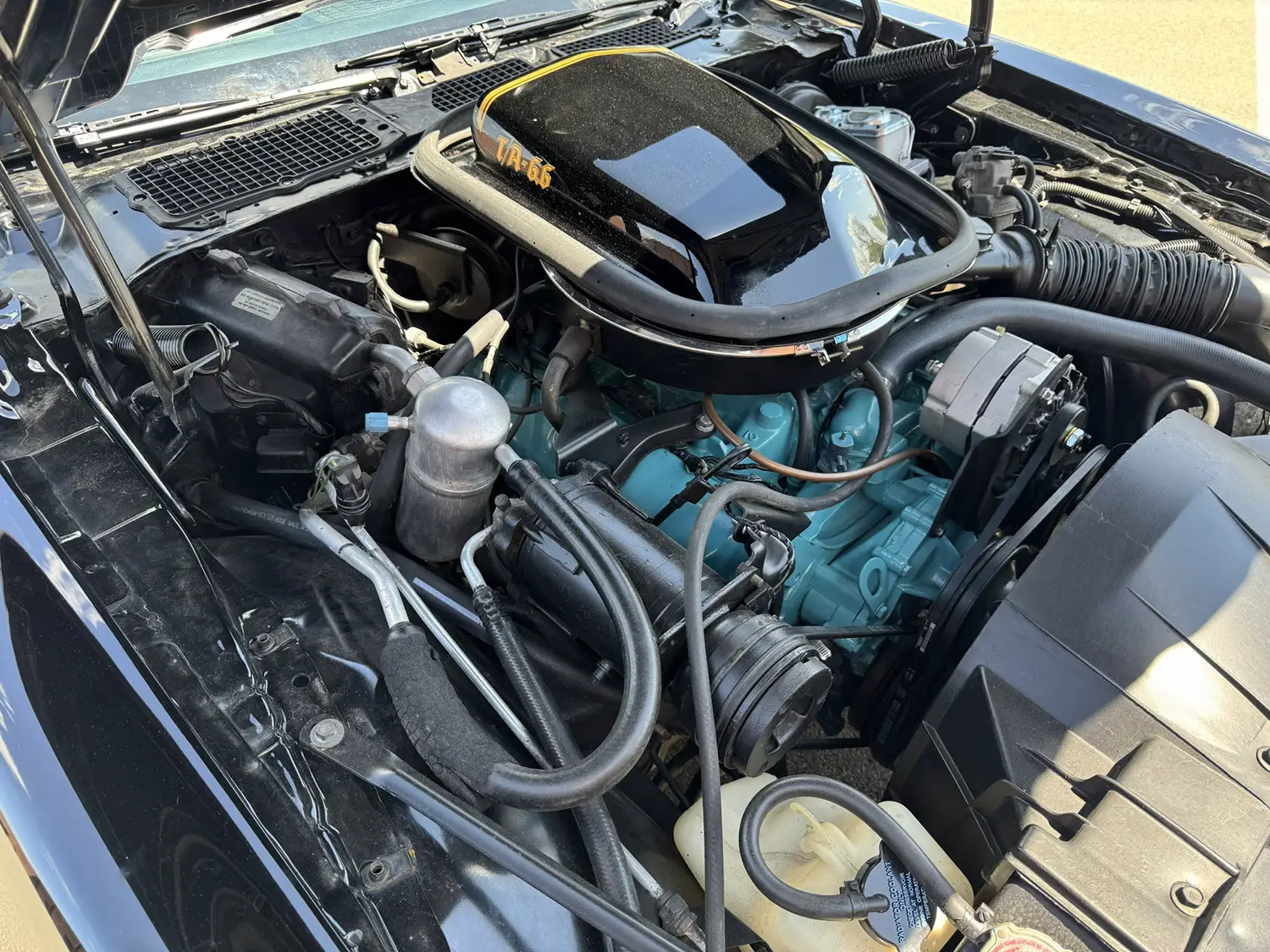1977 Pontiac Trans Am - Photo 5