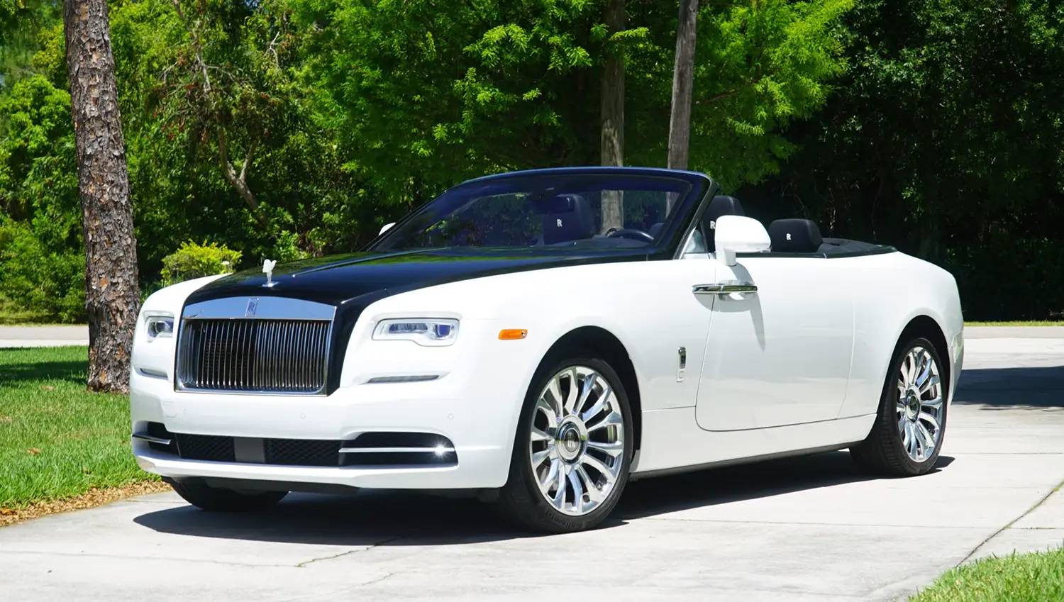 2019 Rolls-Royce Dawn - Photo 8
