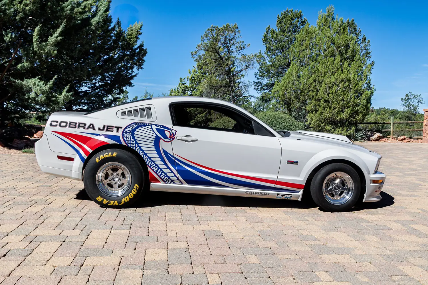 2008 Ford Mustang Cobra Jet - Photo 8
