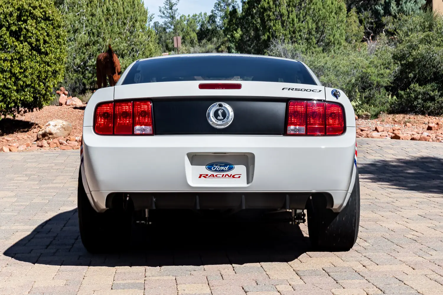 2008 Ford Mustang Cobra Jet - Photo 9