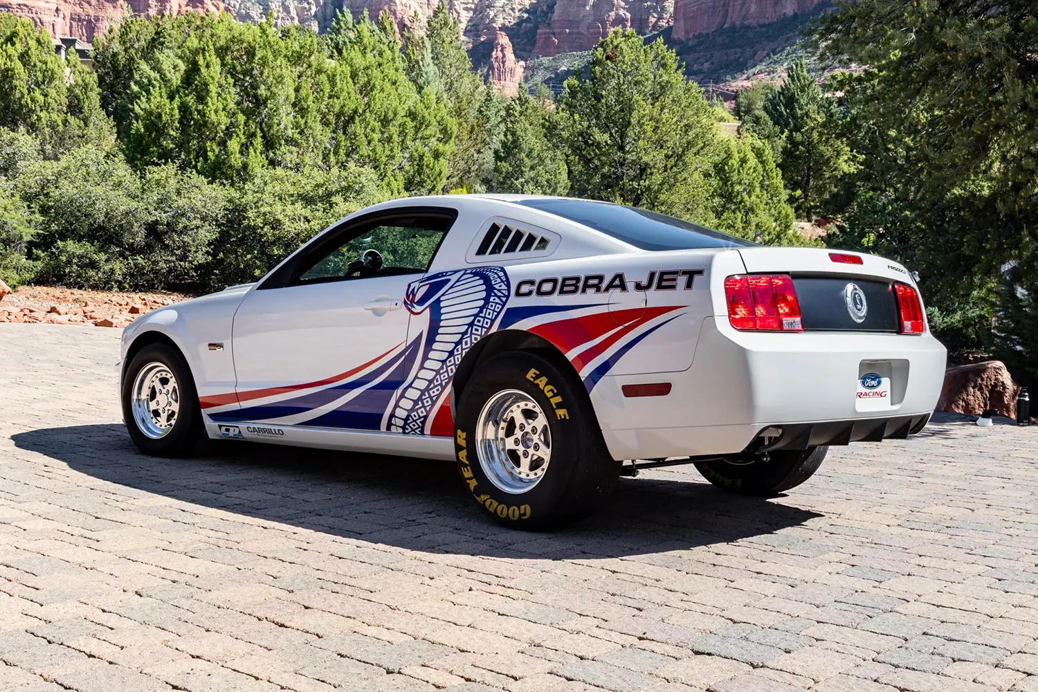 2008 Ford Mustang Cobra Jet - Photo 10