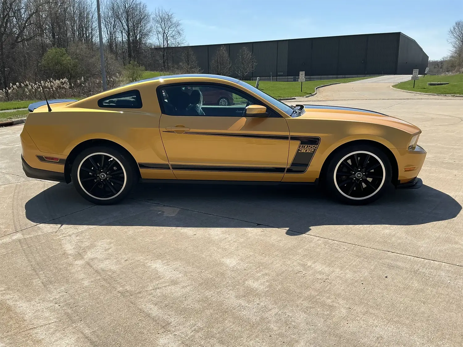 2012 Ford Mustang Boss 302 - Photo 10