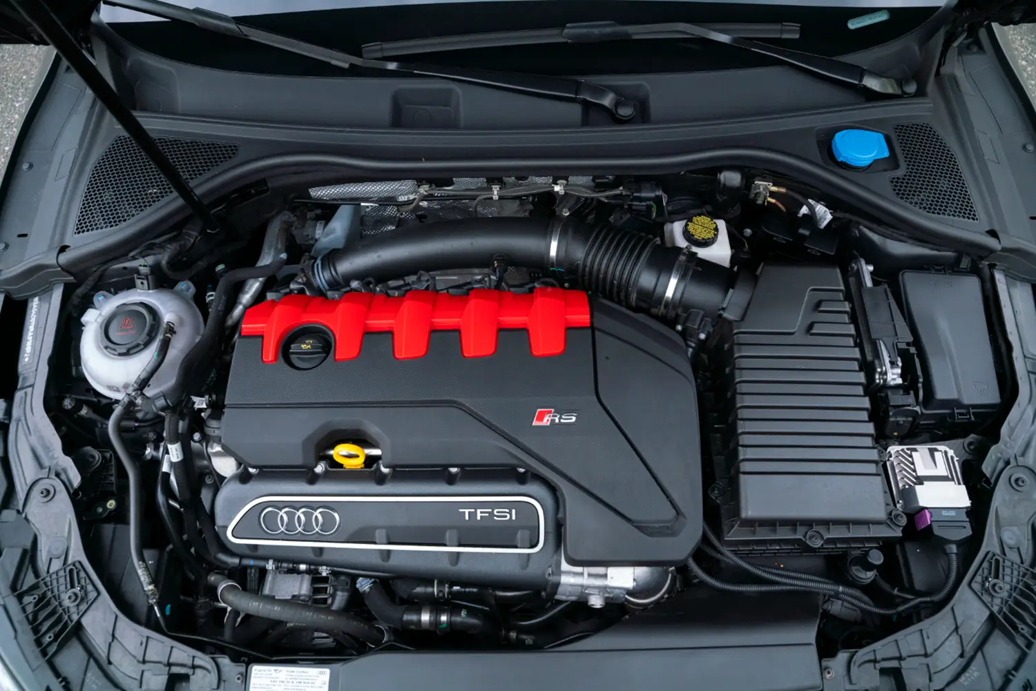 2024 Audi RS3 - Photo 5