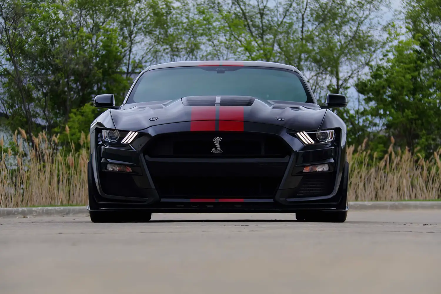 2022 Ford Shelby GT500KR - Photo 6