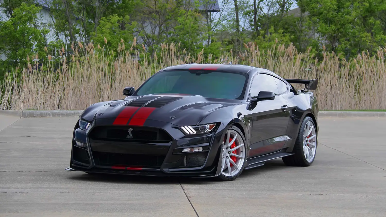2022 Ford Shelby GT500KR - Photo 8