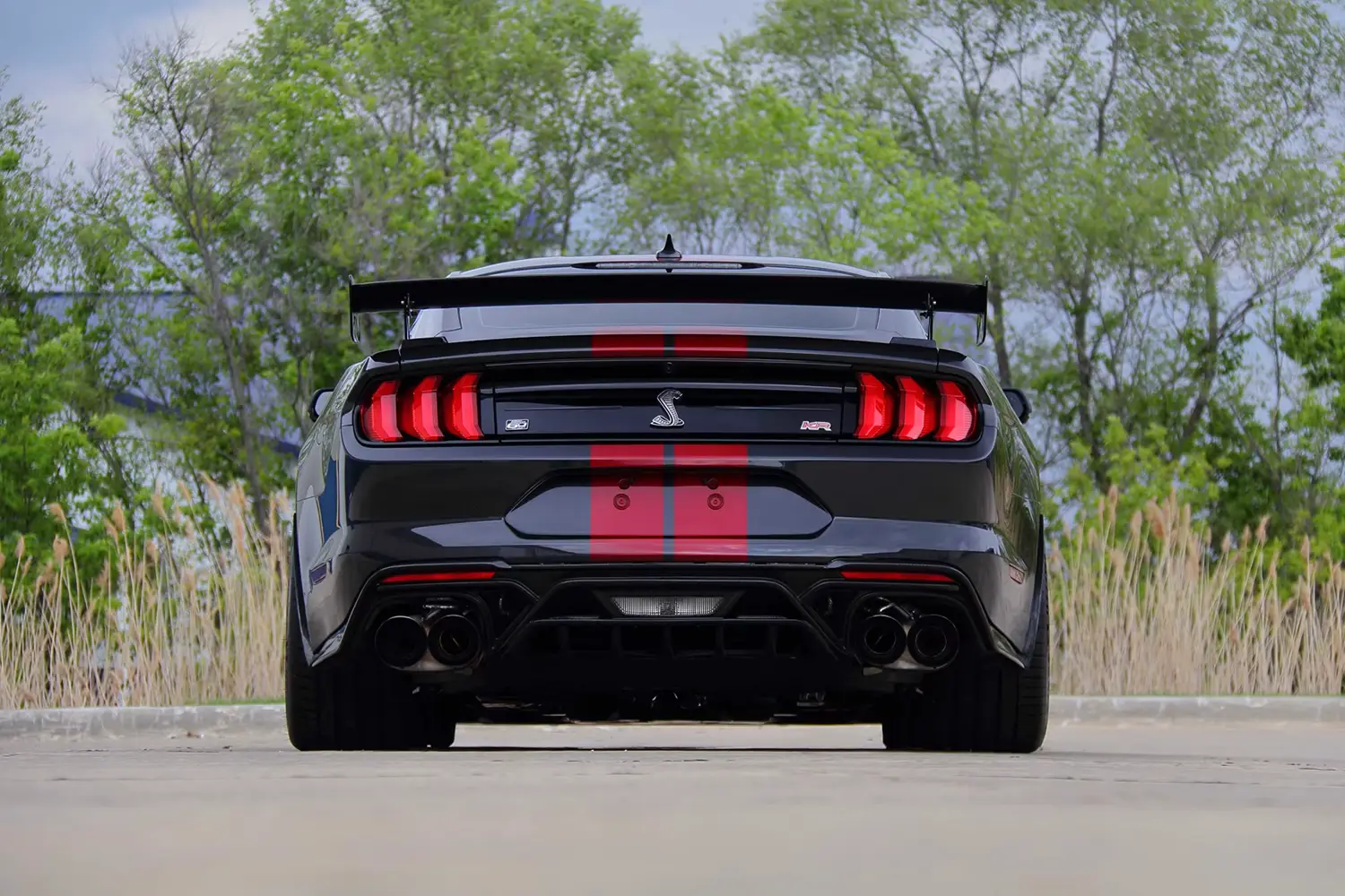 2022 Ford Shelby GT500KR - Photo 3