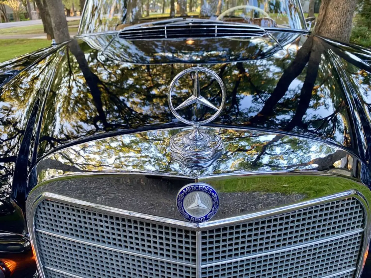 1967 Mercedes-Benz 250SE Coupe - Photo 3
