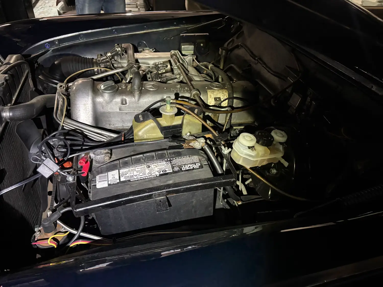 1967 Mercedes-Benz 250SE Coupe - Photo 5