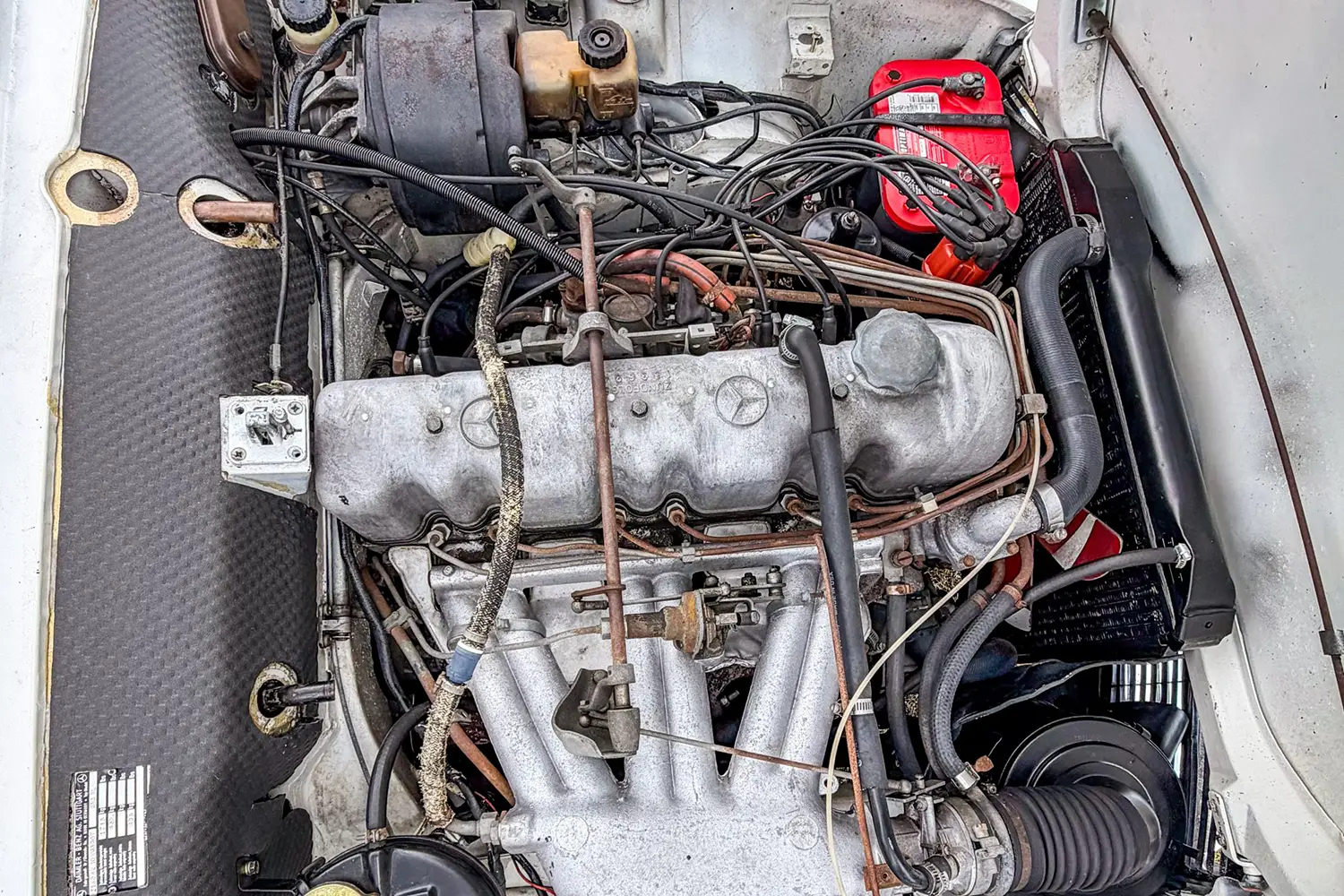 1964 Mercedes-Benz 230SL - Photo 5