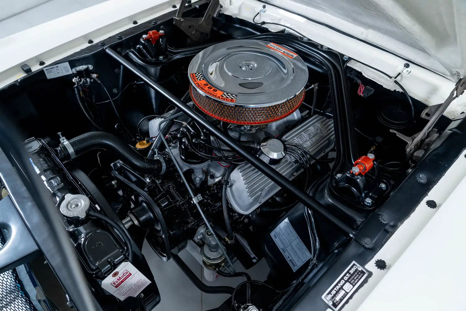1965 Shelby GT350 Fastback - Photo 5