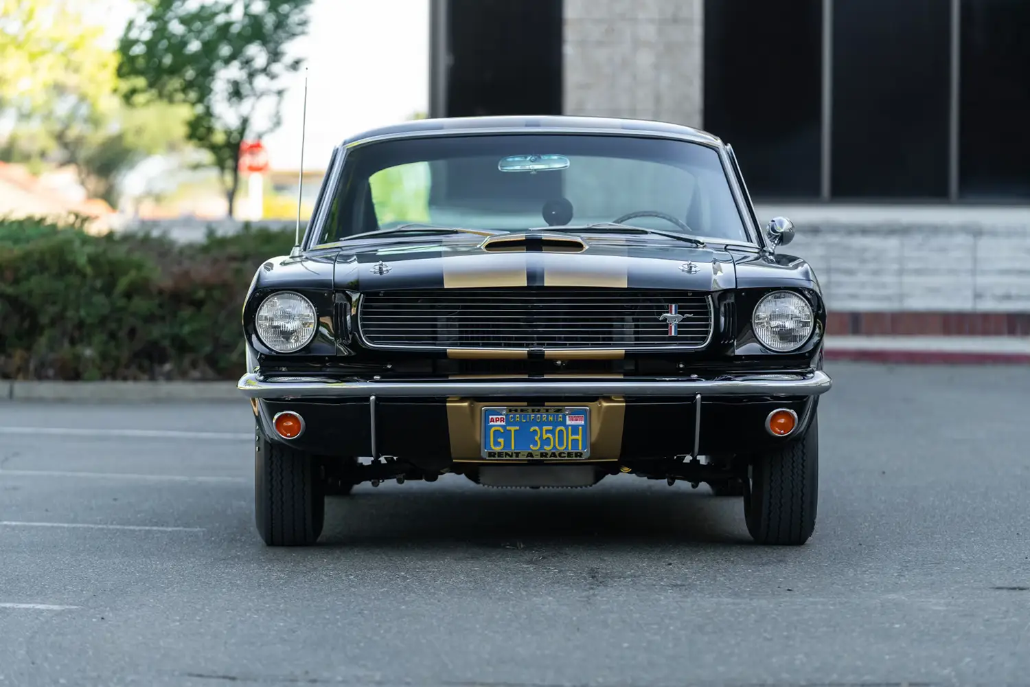 1966 Shelby GT350H Fastback - Photo 2