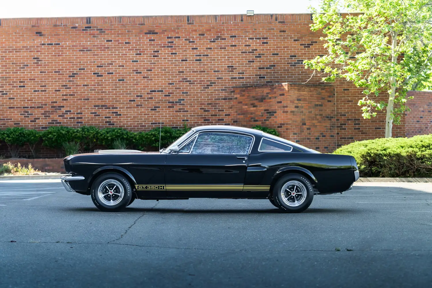 1966 Shelby GT350H Fastback - Photo 3