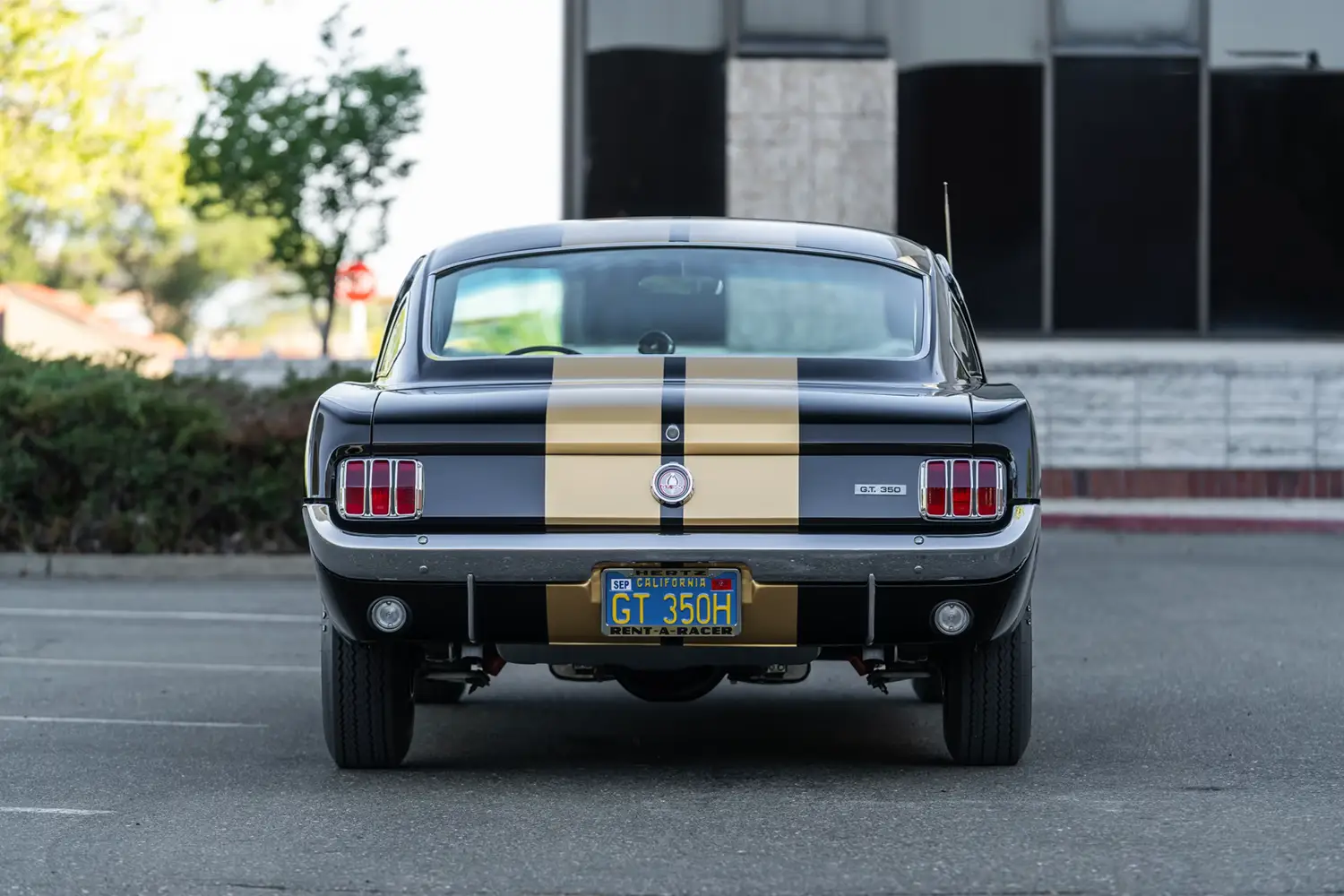 1966 Shelby GT350H Fastback - Photo 8