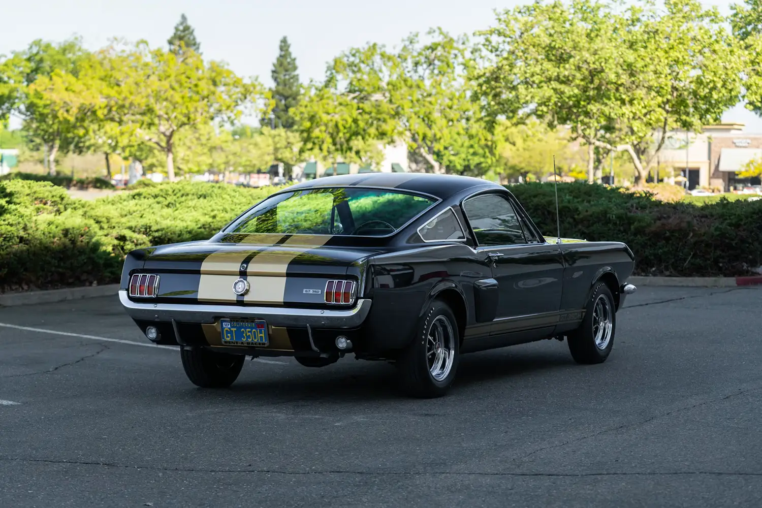 1966 Shelby GT350H Fastback - Photo 10