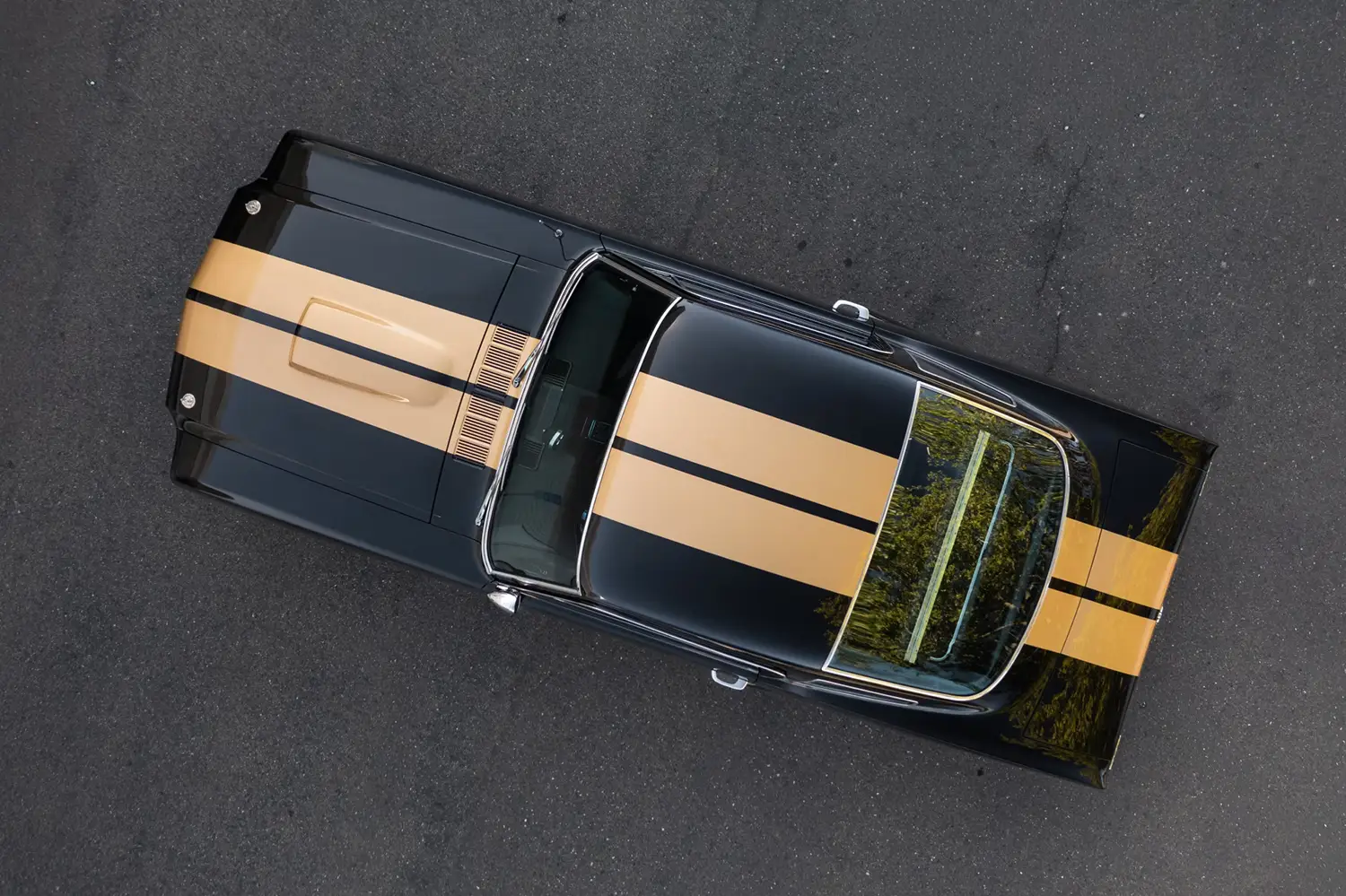 1966 Shelby GT350H Fastback - Photo 13