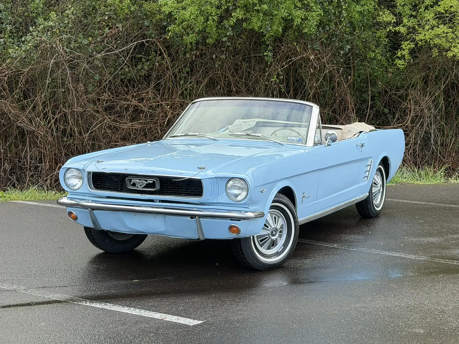 1966 Ford Mustang - Photo 6