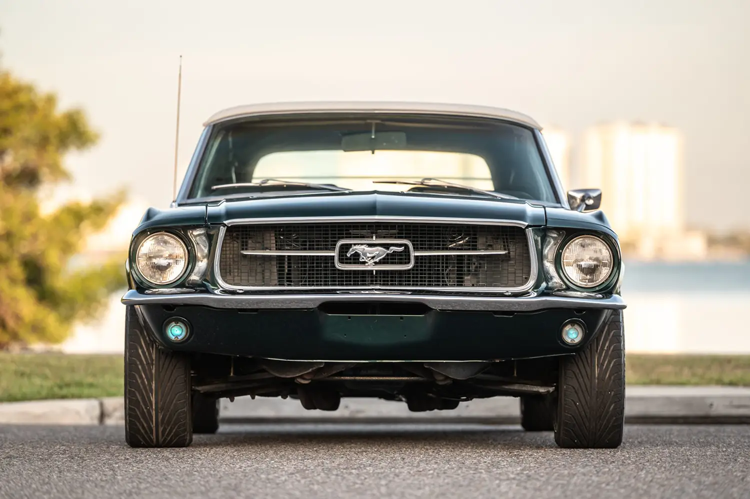 1967 Ford Mustang Convertible - Photo 6