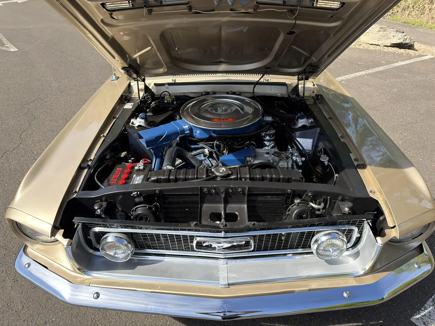 1968 Ford Mustang - Photo 5