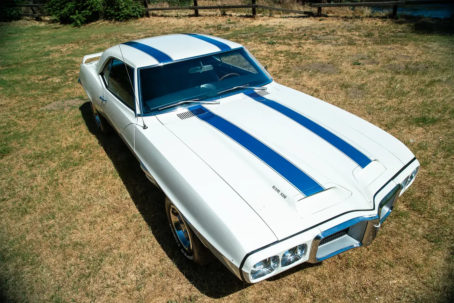 1969 Pontiac Firebird Trans Am - Photo 5