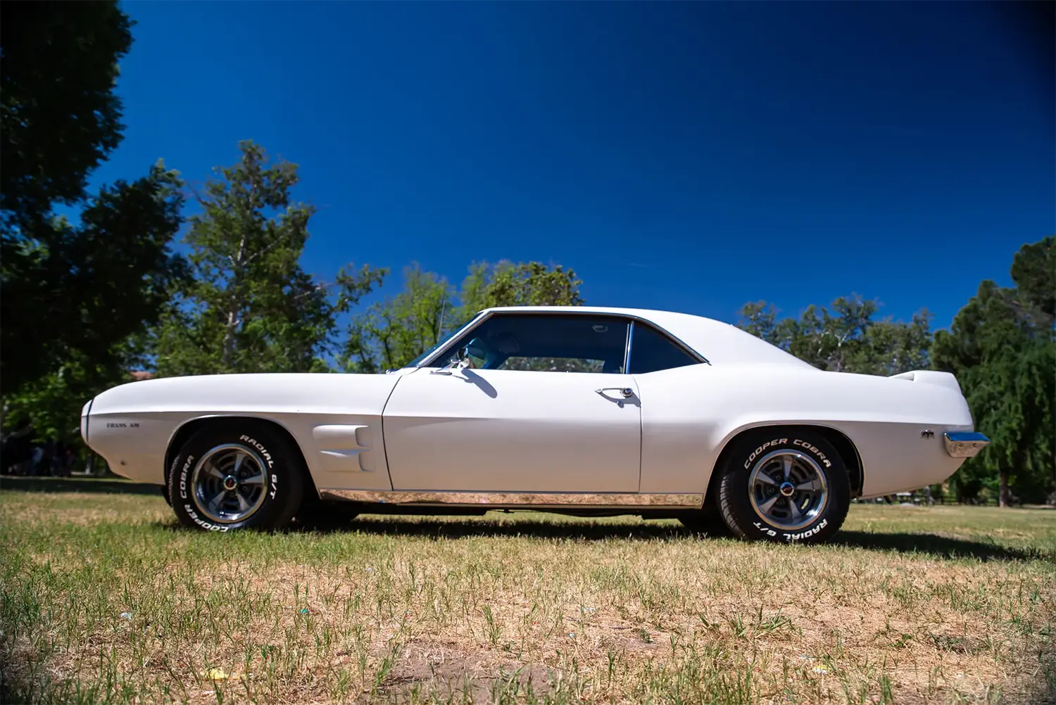 1969 Pontiac Firebird Trans Am - Photo 11