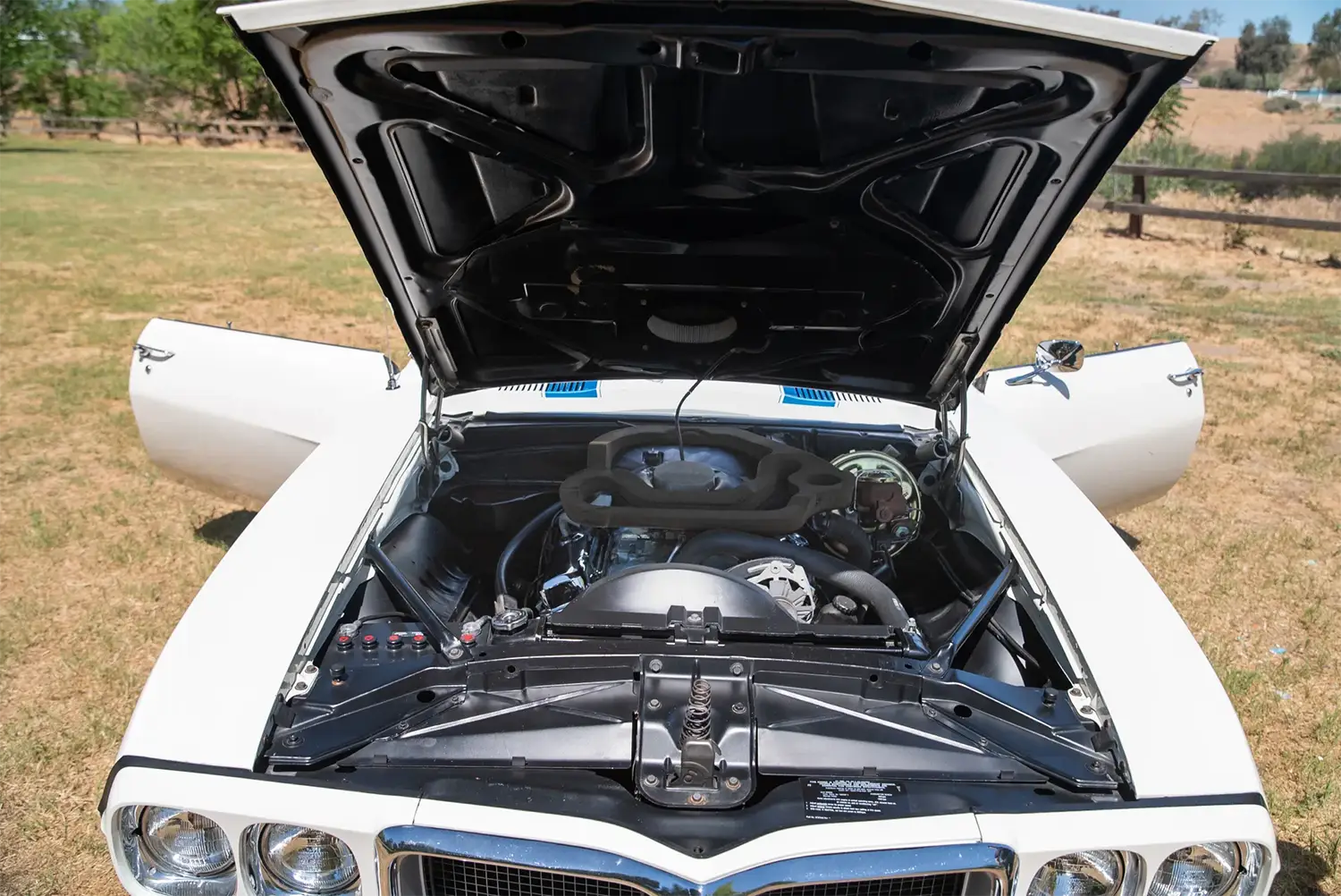 1969 Pontiac Firebird Trans Am - Photo 4