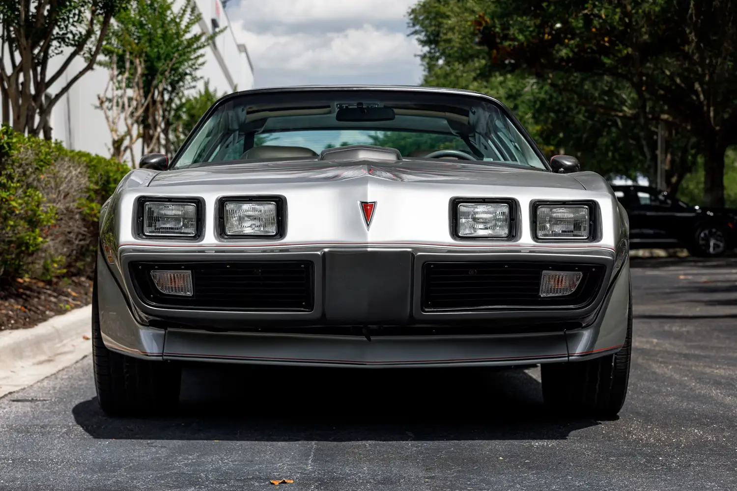 1979 Pontiac Trans Am 10th Anniversary - Photo 3