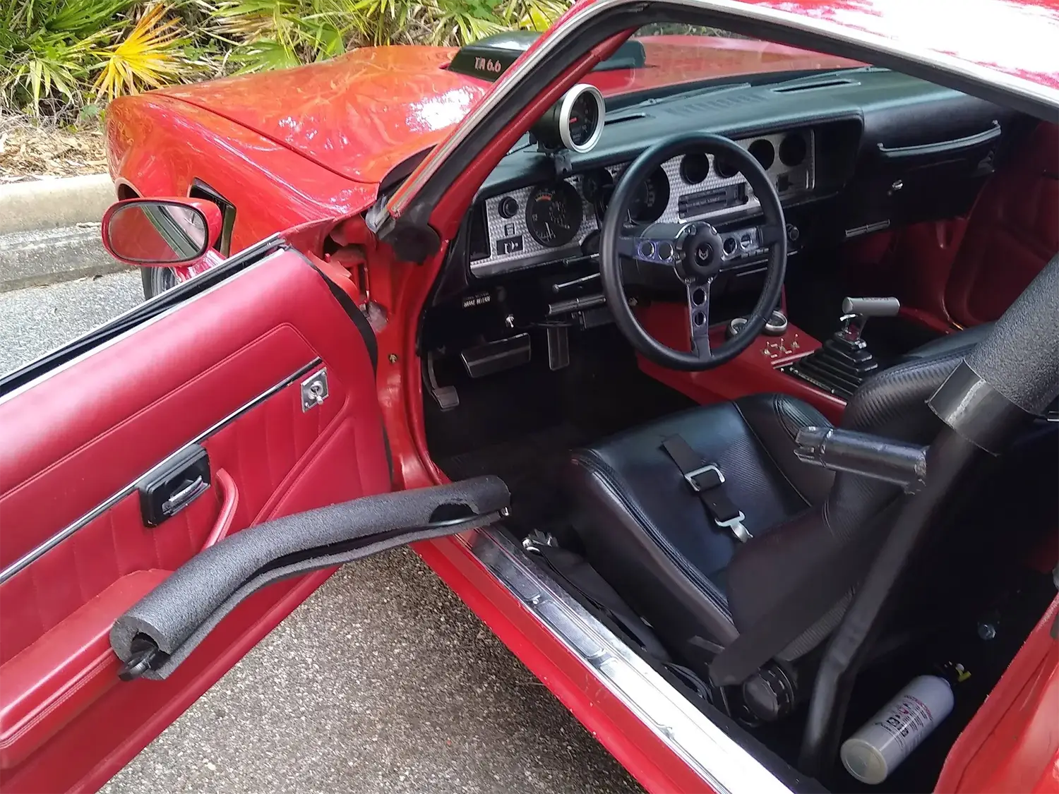1979 Pontiac Firebird Trans Am - Photo 4