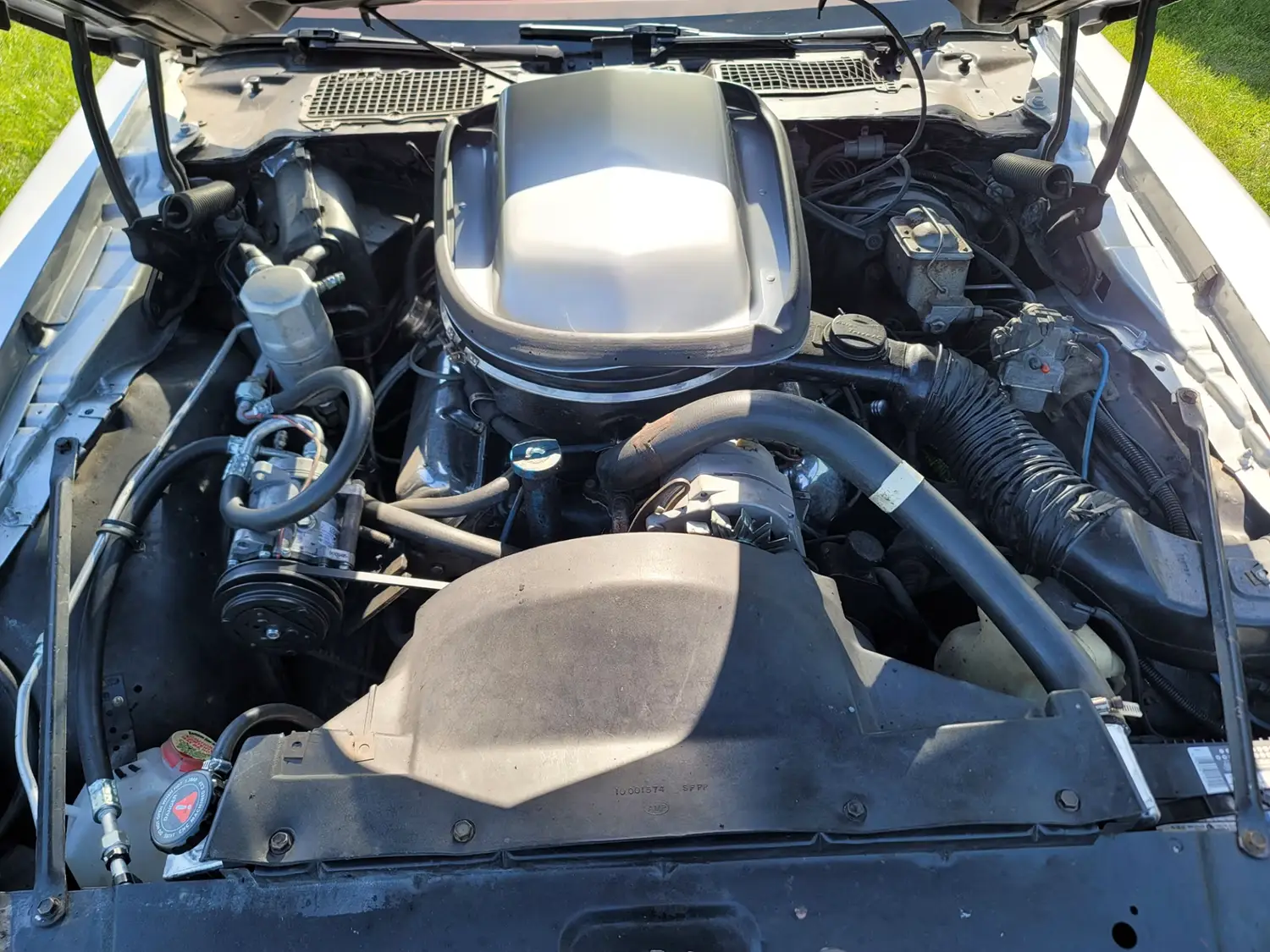 1979 Pontiac Trans Am - Photo 5