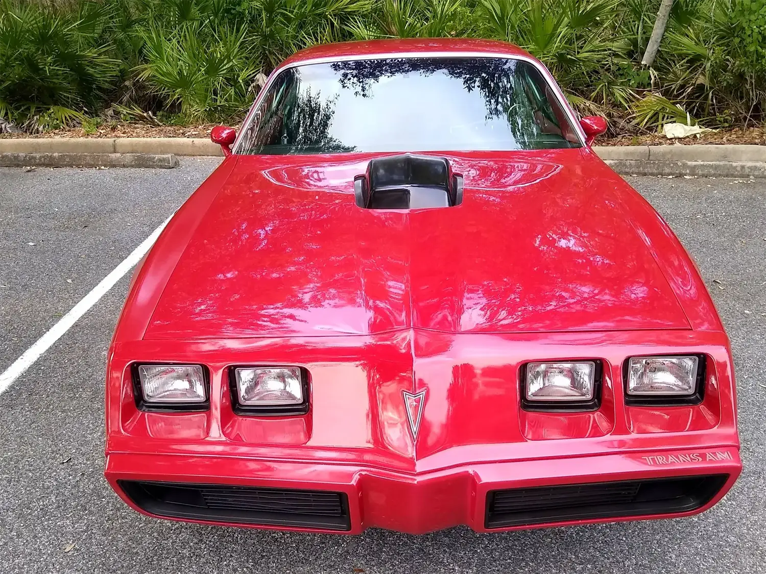 1979 Pontiac Firebird Trans Am - Photo 7