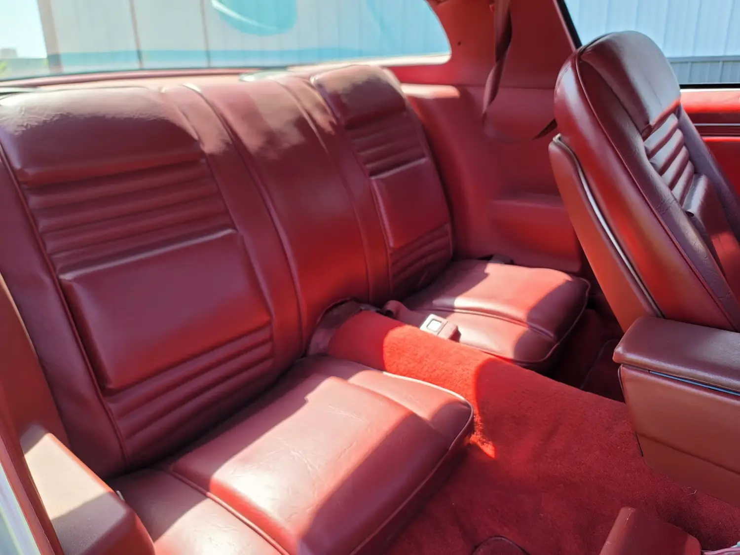 1979 Pontiac Trans Am - Photo 8