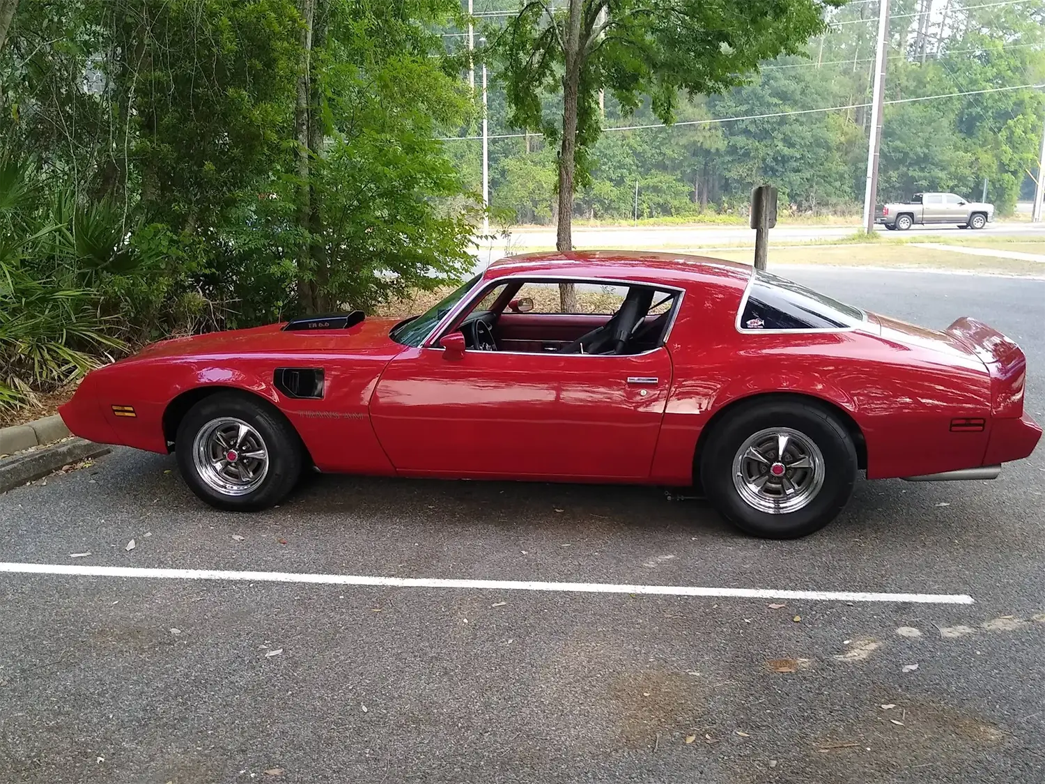 1979 Pontiac Firebird Trans Am - Photo 2
