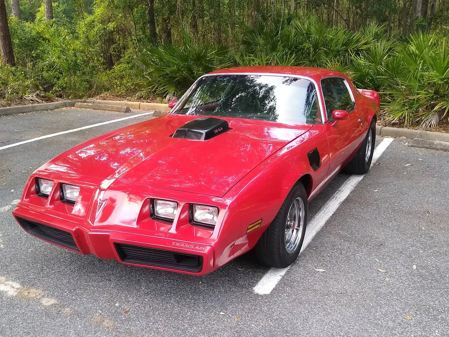 1979 Pontiac Firebird Trans Am - Photo 6