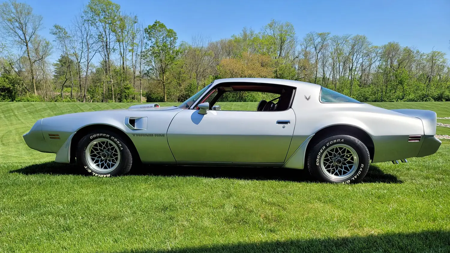 1979 Pontiac Trans Am - Photo 9
