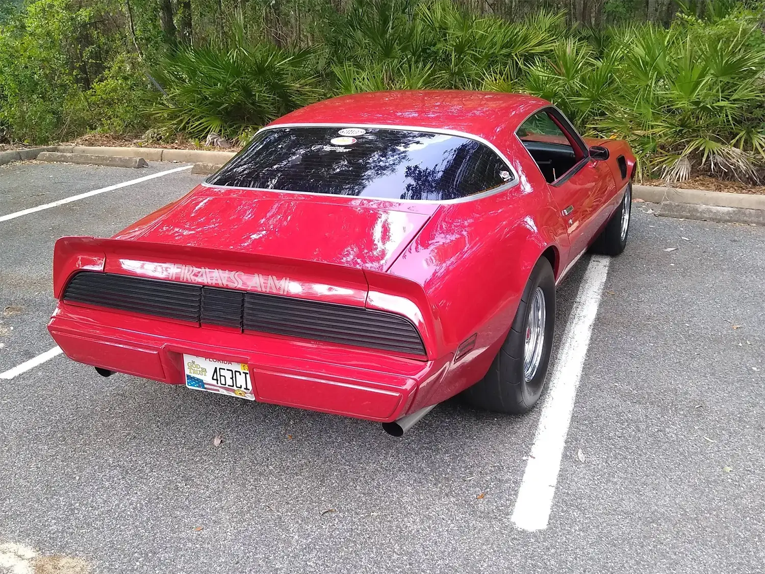 1979 Pontiac Firebird Trans Am - Photo 8